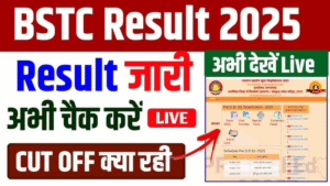 BSTC Result 2025